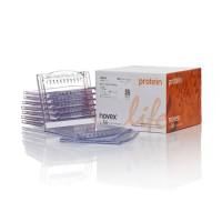 赛默飞InvitrogenNW04120BOX Bolt™ 4 to 12%, Bis-Tris, 1.0 mm, Mini Protein Gel, 10-well