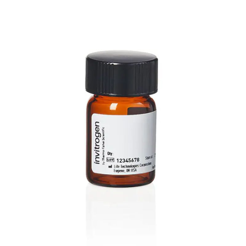 赛默飞InvitrogenO10465Oregon Green 488 Cadaverine, 5-isomer