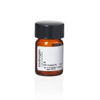 赛默飞InvitrogenO10465Oregon Green 488 Cadaverine, 5-isomer