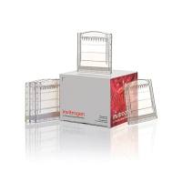 赛默飞Invitrogen BN1003BOX NativePAGE™ 3 to 12%, Bis-Tris, 1.0 mm, Mini Protein Gel, 15-well