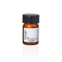 赛默飞InvitrogenB10250BODIPY FL 马来酰亚胺(BODIPY FL N--(2-氨乙基))马来酰亚胺)