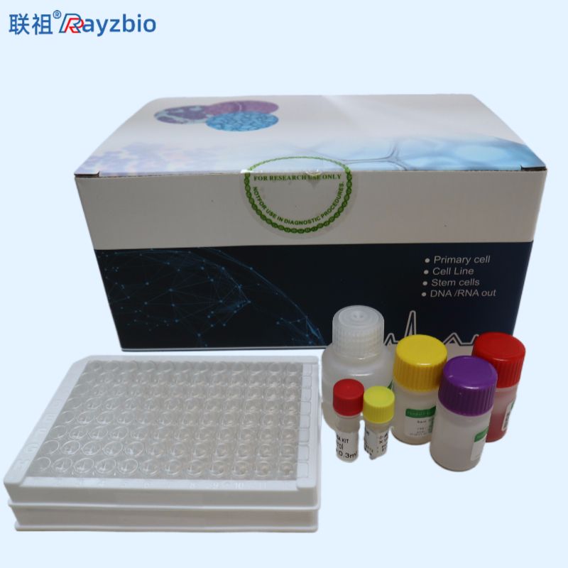 唾液弯曲杆菌PCR检测试剂盒