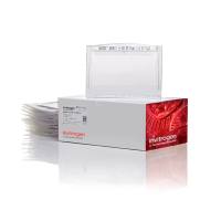 赛默飞InvitrogenWG1201BOX NuPAGE™ 10%, Bis-Tris, 1.0 mm, Midi Protein Gel, 12+2-well