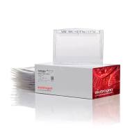 赛默飞InvitrogenWG1401BOX NuPAGE™ 4 to 12%, Bis-Tris, 1.0 mm, Midi Protein Gel, 12+2-well