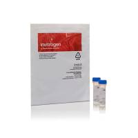 赛默飞InvitrogenZ25102Zenon Mouse IgG2a Labeling Kit/Zenon小鼠IgG2a标记试剂盒