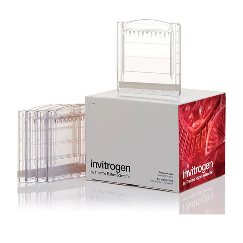 赛默飞InvitrogenXP00165BOX Novex™ WedgeWell™ 16%, Tris-Glycine, 1.0 mm, Mini Protein Gel, 15-well