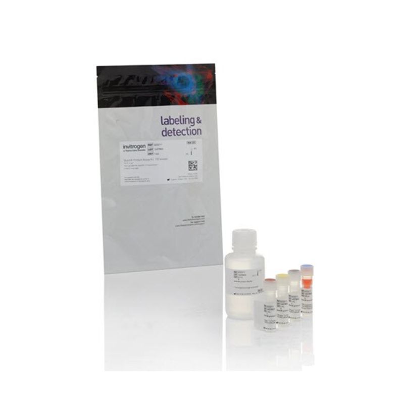 赛默飞InvitrogenQ33211Qubit™ Protein Assay Kit/Qubit蛋白测定试剂盒价格_品牌