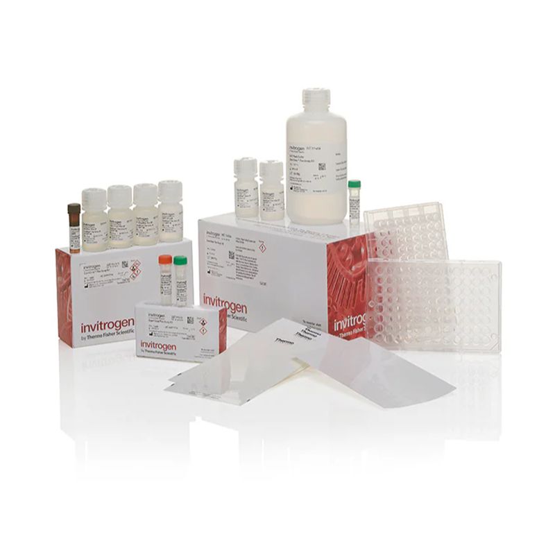 赛默飞InvitrogenQP1014 QuantiGene Plex Assay Kit产品图