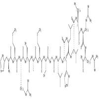 SAMS  CAS号：125911-68-4