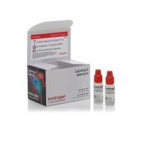 赛默飞InvitrogenR37170 TO-PRO 3 Ready Flow Reagent