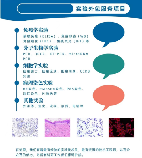 溶酶体免疫荧光法