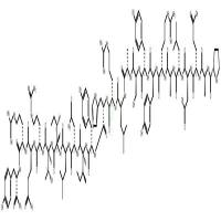 [13-36]-Neuropeptide Y  CAS号：113662-54-7