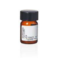 赛默飞Invitrogen T6134德克萨斯红-X 琥珀酰亚胺酯，混合异构体