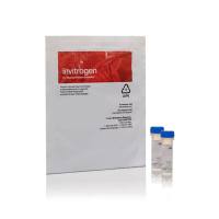 赛默飞Invitrogen Z25351 Zenon Rabbit IgG Labeling Kit/Zenon兔IgG标记试剂盒