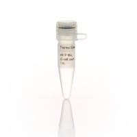Thermo ScientificR1122dNTP Mix (25 mM each)