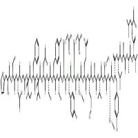Human PACAP-(1-27)  CAS号：127317-03-7