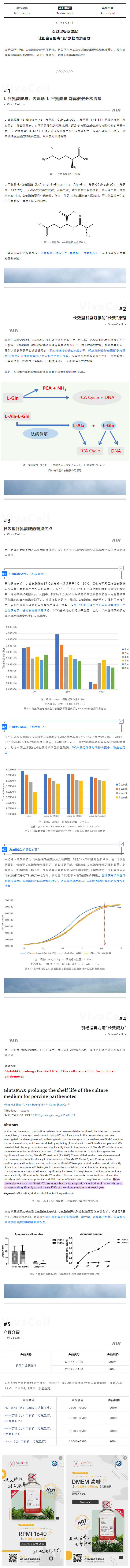 长效型谷氨酰胺 ‖ 让细胞告别毒“氨”烦恼再添活力！