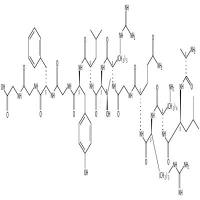 Osteogenic growth peptide  CAS号：132996-61-3