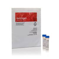 赛默飞InvitrogenZ25002Zenon Mouse IgG1 Labeling Kit/Zenon小鼠 IgG1标签试剂盒