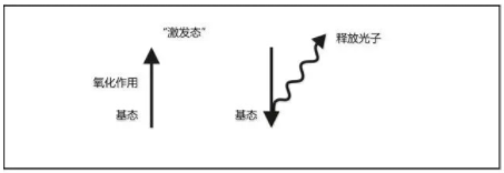 化学发光所需的抗体抗原