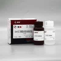 SQ203 Omni-ECL™通用型化学发光检测试剂盒(飞克级)