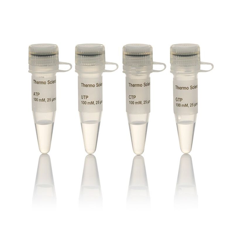 Thermo Scientific R0481 NTP Set, 100 mM Solution