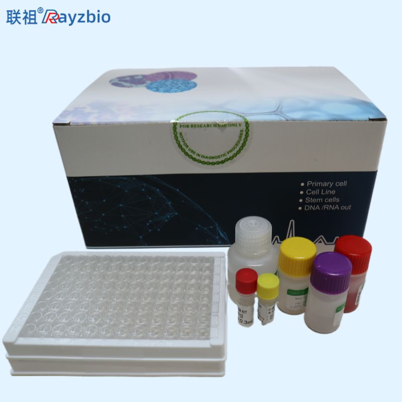 停乳链球菌PCR检测试剂盒