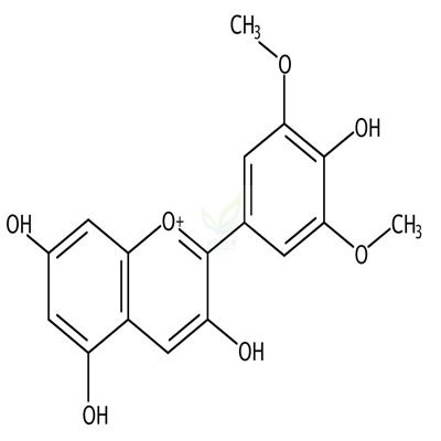 锦葵花素  CAS号：10463-84-0