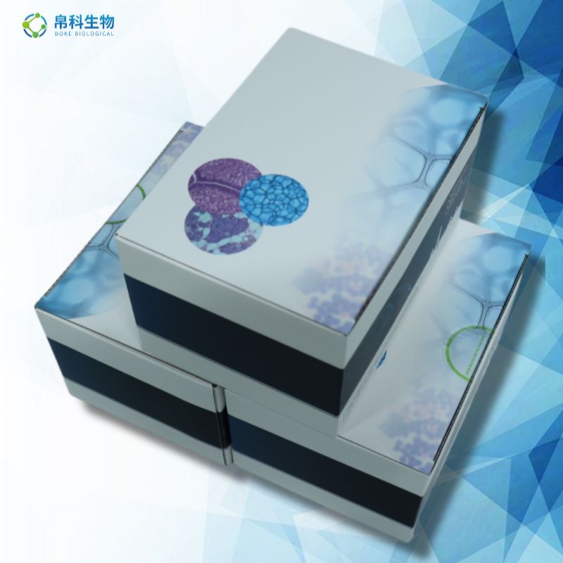 FⅫa 人活化凝血因子ⅫELISA检测试剂盒