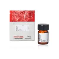 赛默飞InvitrogenT2556盐酸三-(2-羧乙基)膦 (TCEP)