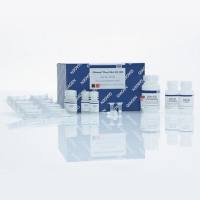 凯杰Qiagen69104/69106植物基因组DNA小提试剂盒DNeasy Plant Mini