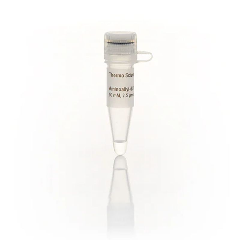 Thermo ScientificR1101Aminoallyl-dUTP Solution (50 mM)