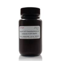 赛默飞Invitrogen WP20002 Novex™ AP Chemiluminescent Substrate (CDP-Star™)/化学发光底物