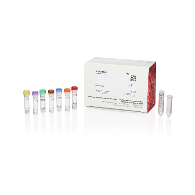 赛默飞InvitrogenS10467SiteClick R-PE 抗体标记试剂盒