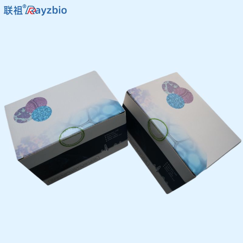 神经肉孢子虫PCR检测试剂盒产品图