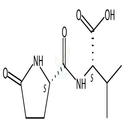 5-Oxo-L-prolyl-L-valine   CAS号：21282-10-0