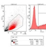 流式细胞分选技术