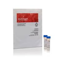 赛默飞InvitrogenZ25202Zenon Mouse IgG2b Labeling Kits/Zenon小鼠IgG2b标签试剂盒