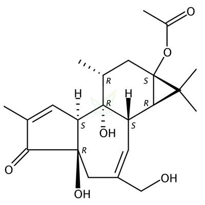 13-O-乙酰基-12-脱氧佛波醇  CAS号：60857-08-1