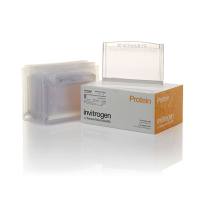 赛默飞InvitrogenWXP41212BOX Novex™ 4 to 12% Tris-Glycine Plus, 1.0 mm, Midi Protein Gels, 12+2-well