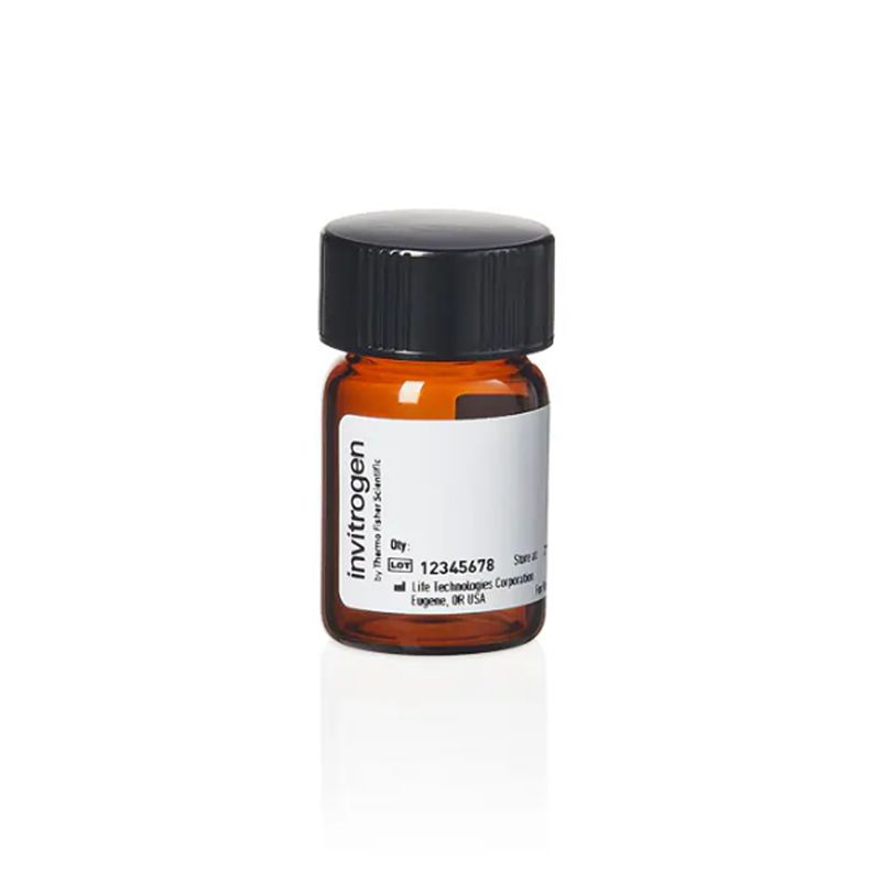 赛默飞InvitrogenR6160罗丹明红-X 琥珀酰亚胺酯，5-异构体