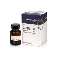 Thermo ScientificR0861 DTT (dithiothreitol)