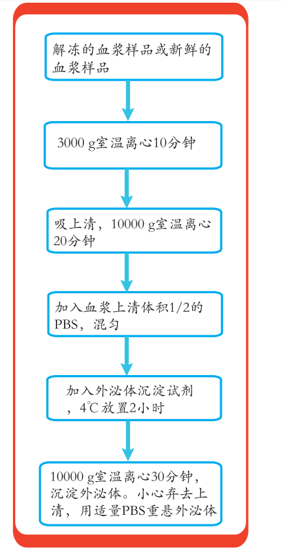 外泌体电镜，NTA，机制研究