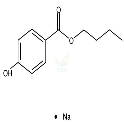 对羟基苯甲酸丁酯钠盐  CAS号：36457-20-2