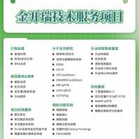 金开瑞项目清单