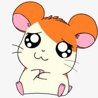 裸鼠成瘤-皮下成瘤