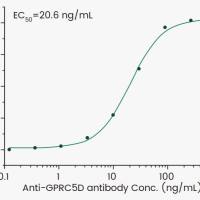 GPRC5D Protein, Human, Recombinant, Biotinylated, HPLC-verified