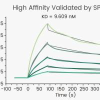 GPRC5D Protein, Human, Recombinant (His & FLAG Tag)