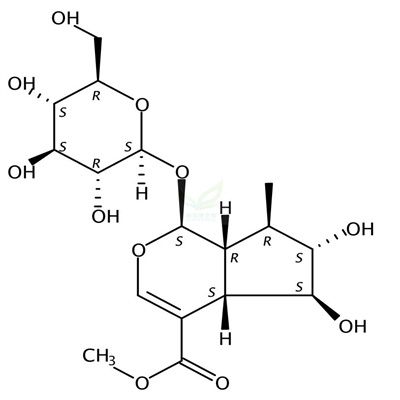 6β-羟基-7-表-马钱子苷  CAS号：125410-28-8