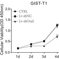 CCK-8检测细胞增殖